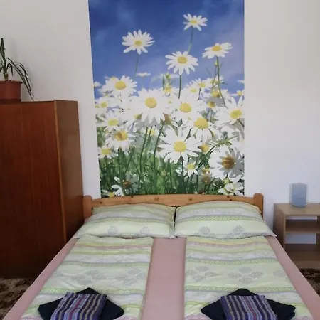 Homestay U Ladi