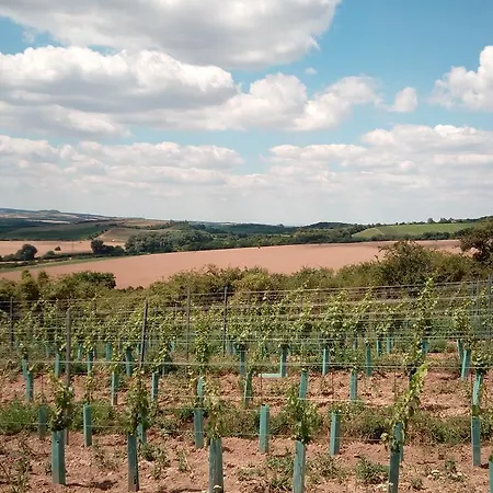 U Ladi Privat bolig *