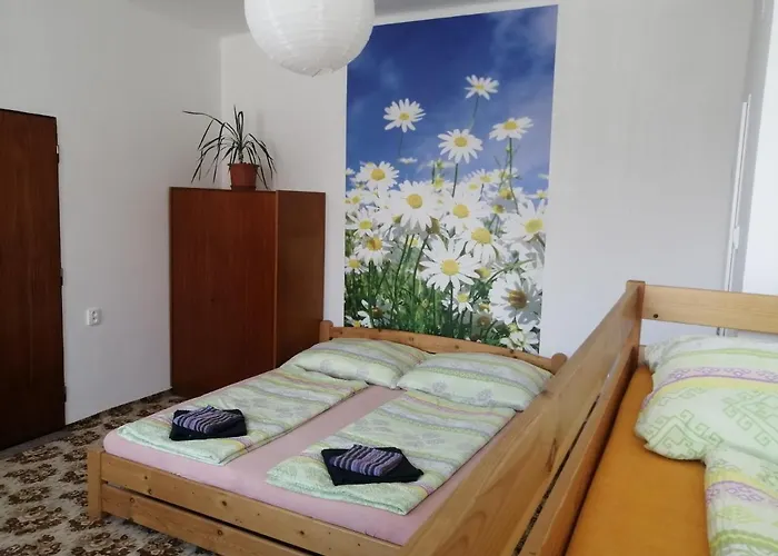 Homestay U Ladi Bulhary