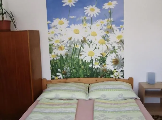 Homestay U Ladi